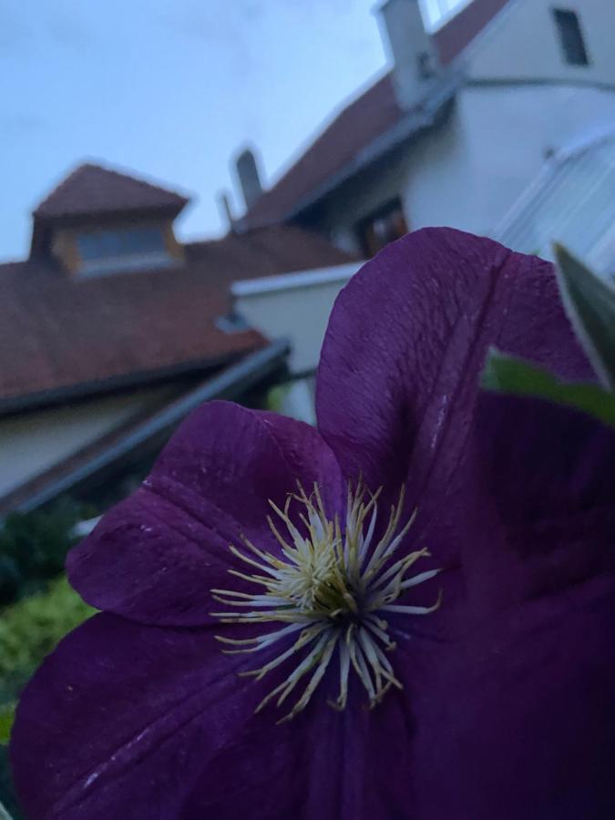 Gasthof Zum Mohrn Oberwoelz Stadt Екстериор снимка